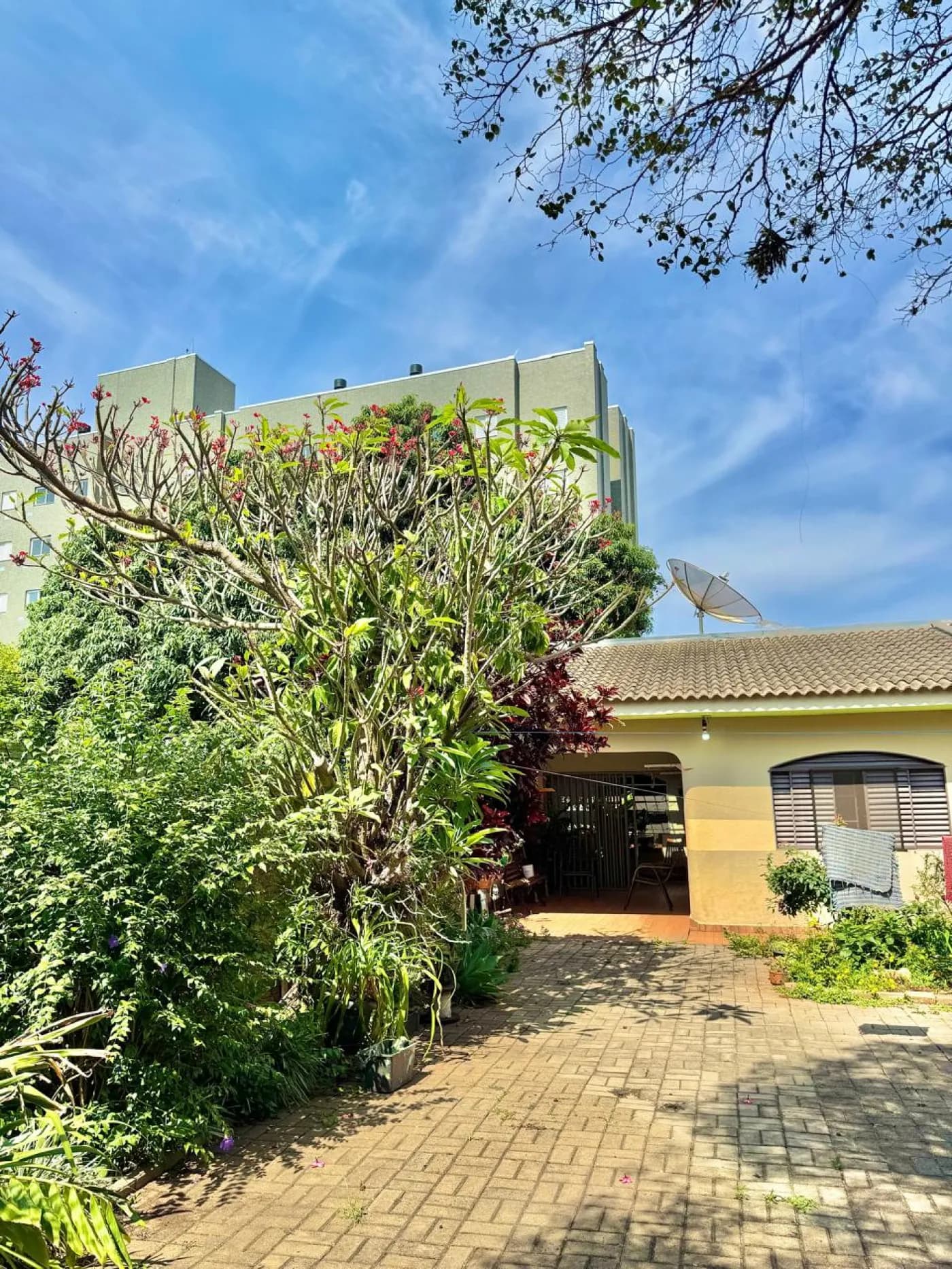 Casa/Sobrado Casa em Maringá