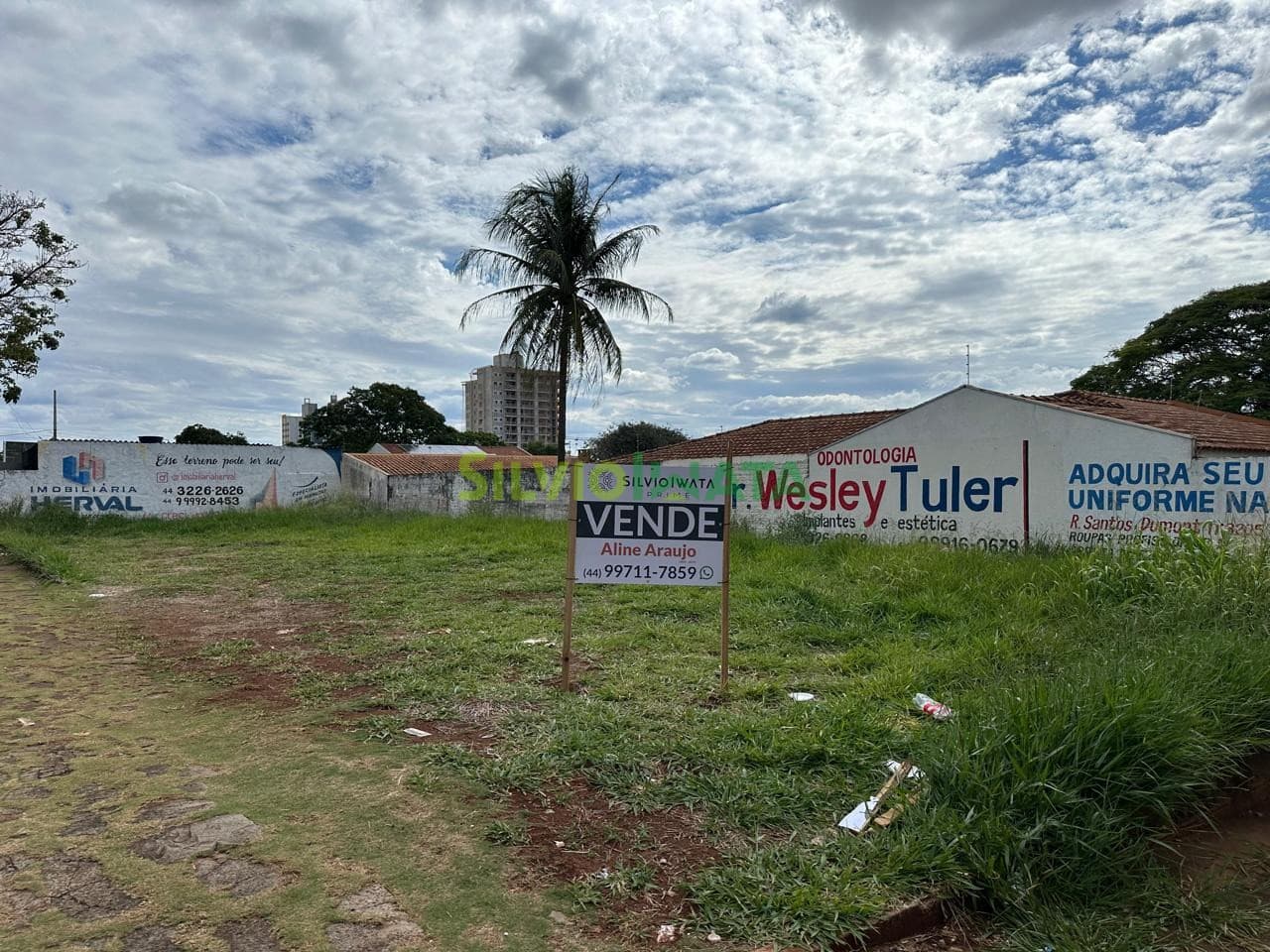 Terreno Comercial à Venda Jardim Aclimação